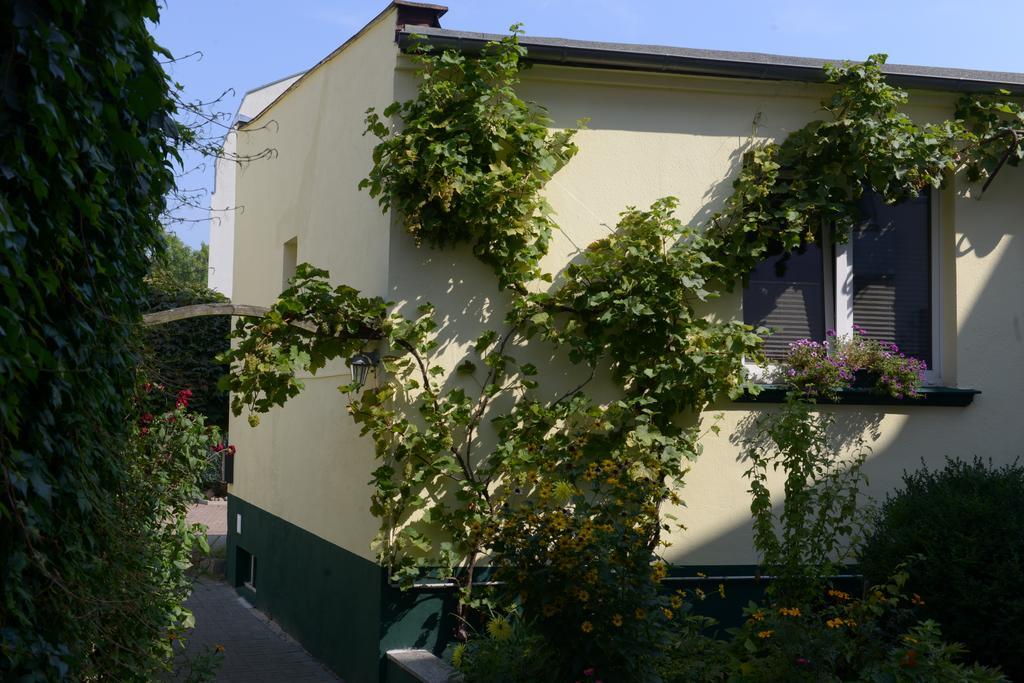 Hotel-Pension Mandy - Adults Only Senftenberg Exterior photo